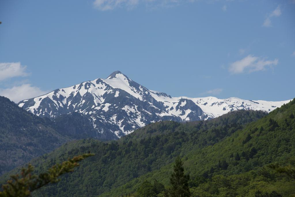 Nakamurakan Takayama  Exterior foto